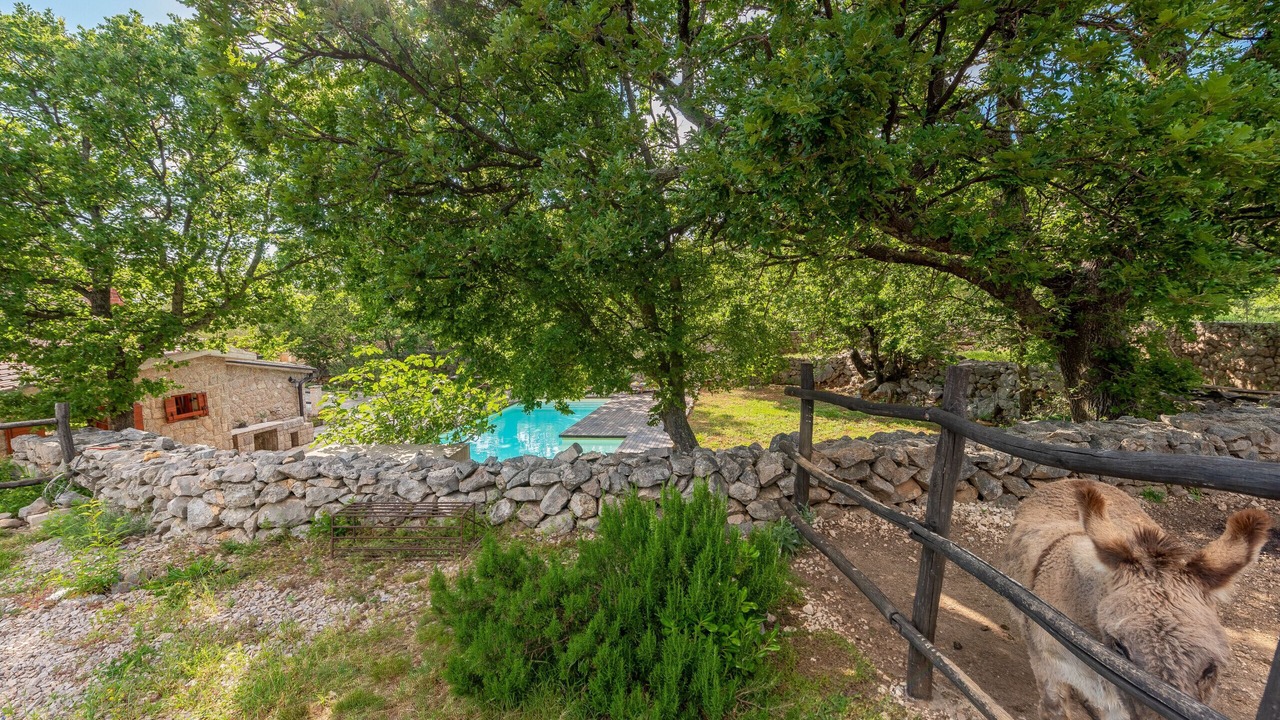 Photo of Outdoor in Seline