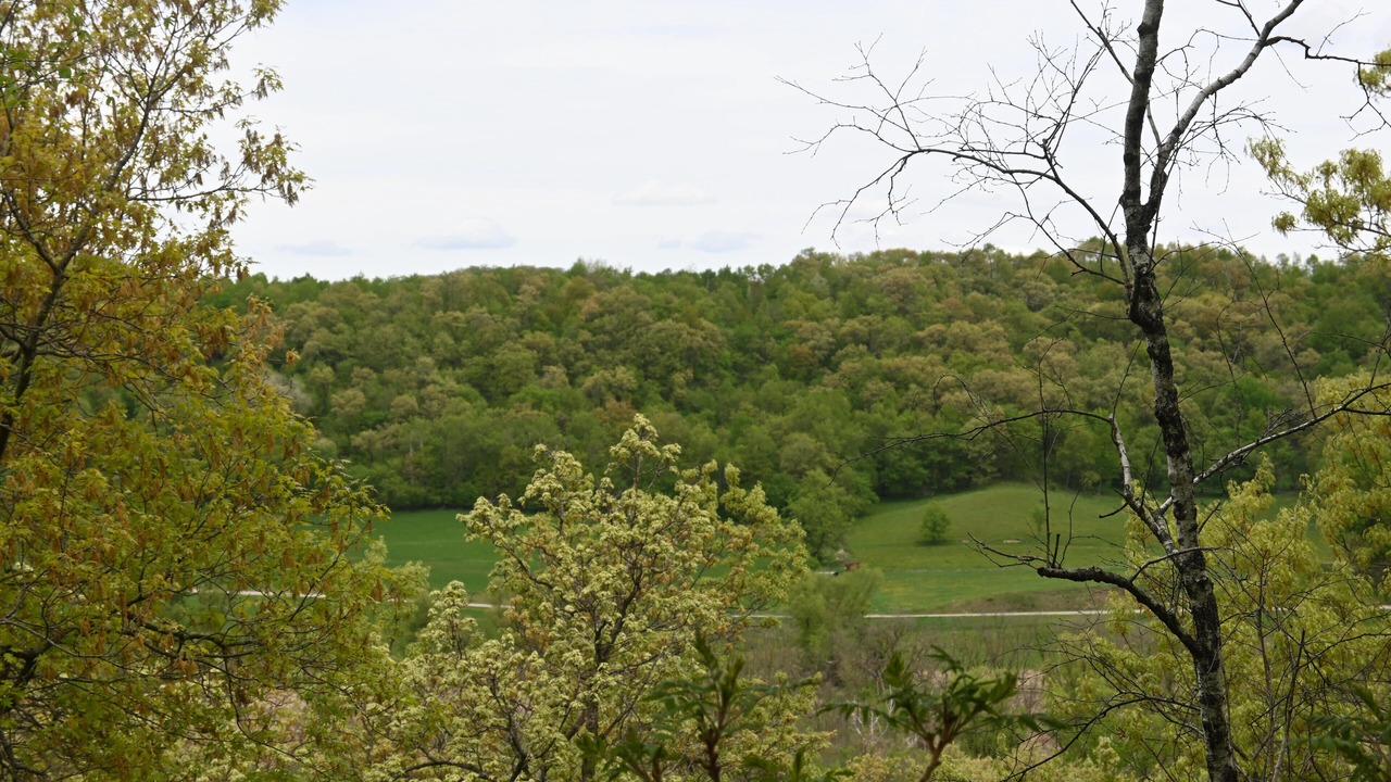 Photo of Outdoor in Norwalk