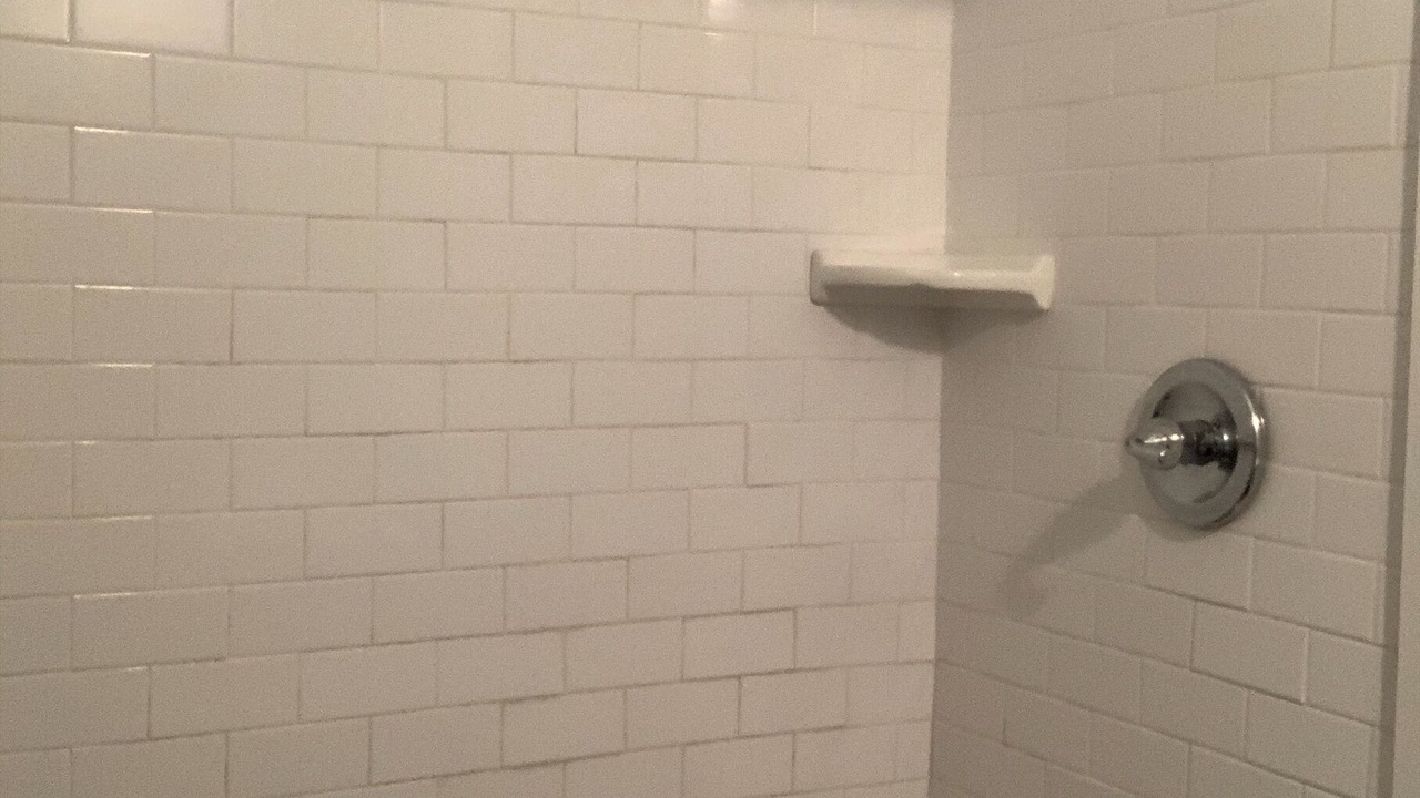 Photo of Bathroom in Satsuma