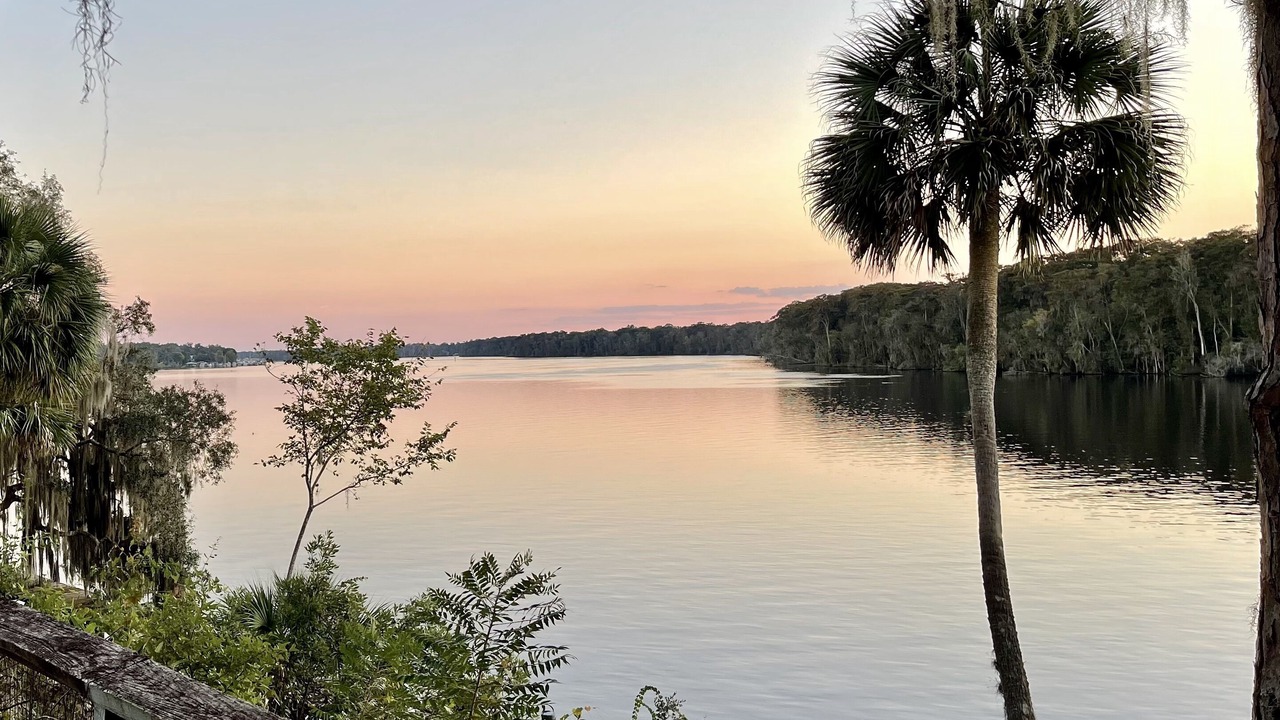 Photo of Others in Satsuma