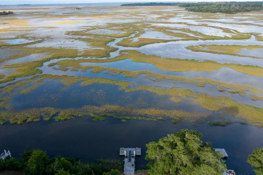 Photo of Outdoor in Waverly