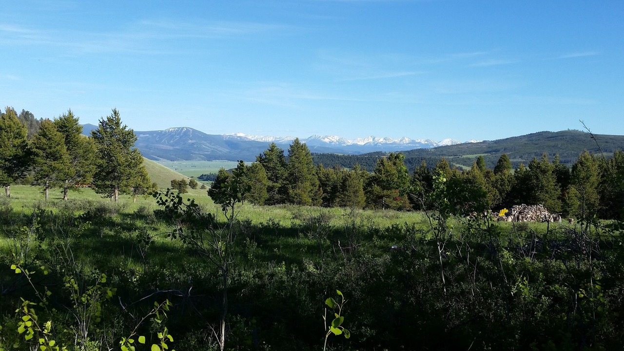 Photo of Others in Philipsburg