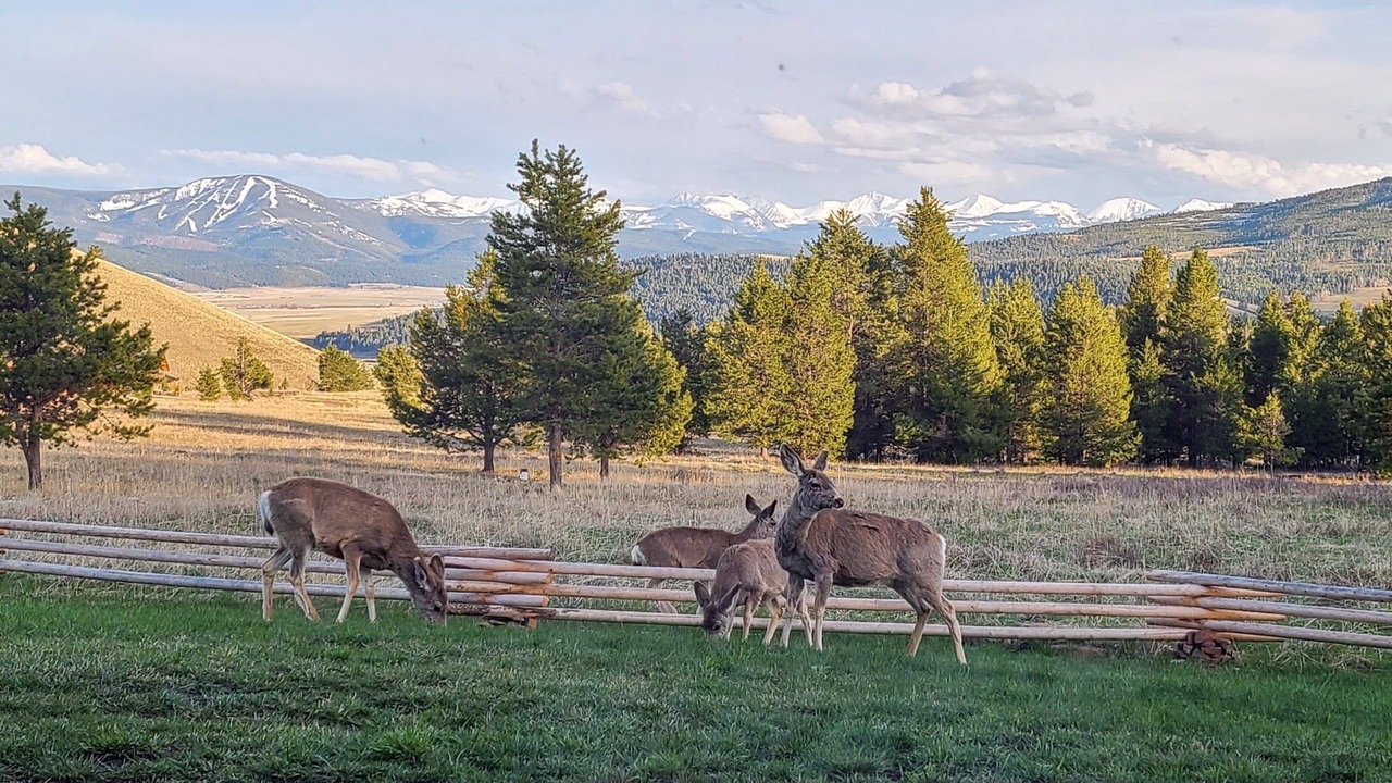 Photo of Others in Philipsburg