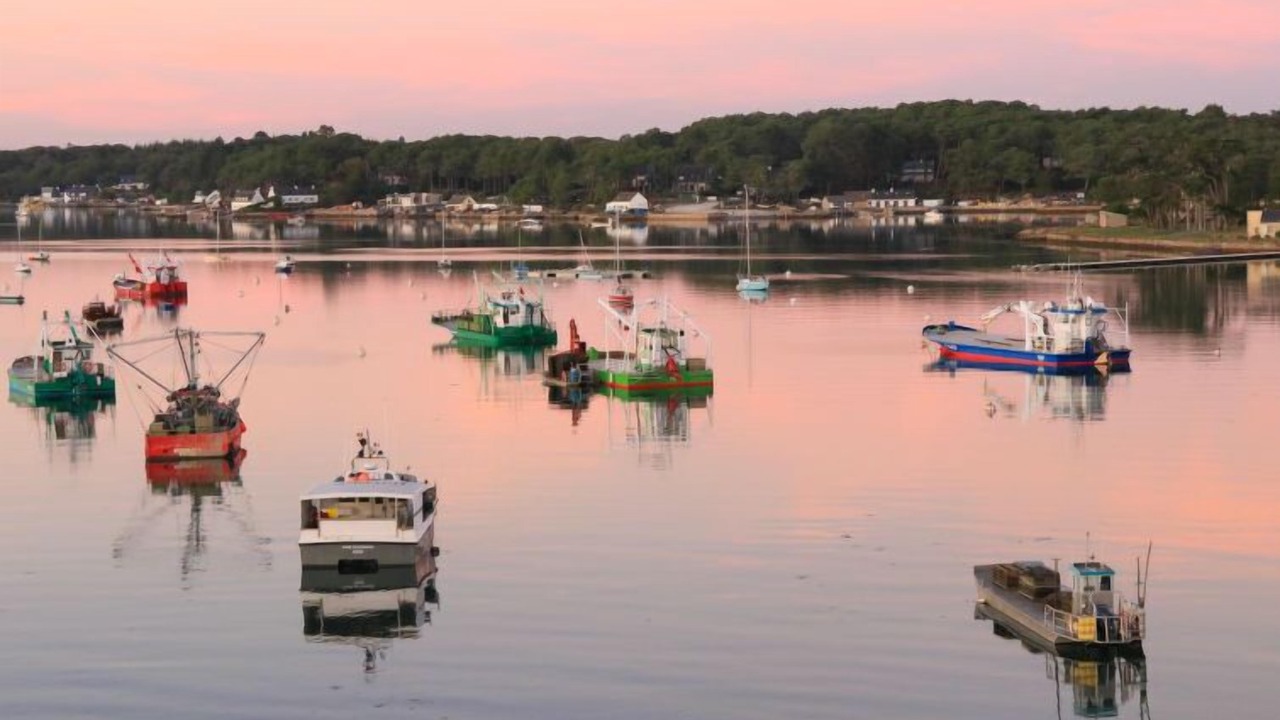 Photo of Others in La Trinite-sur-Mer