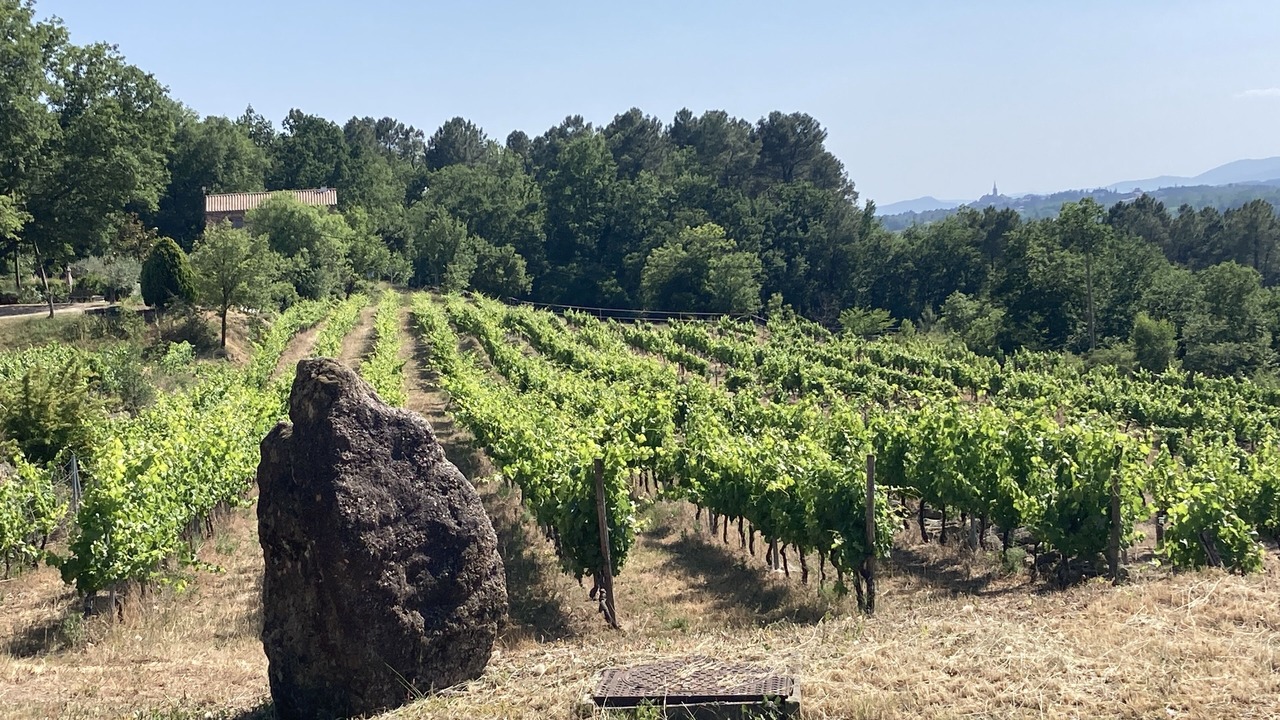 Photo of Outdoor in Rosieres
