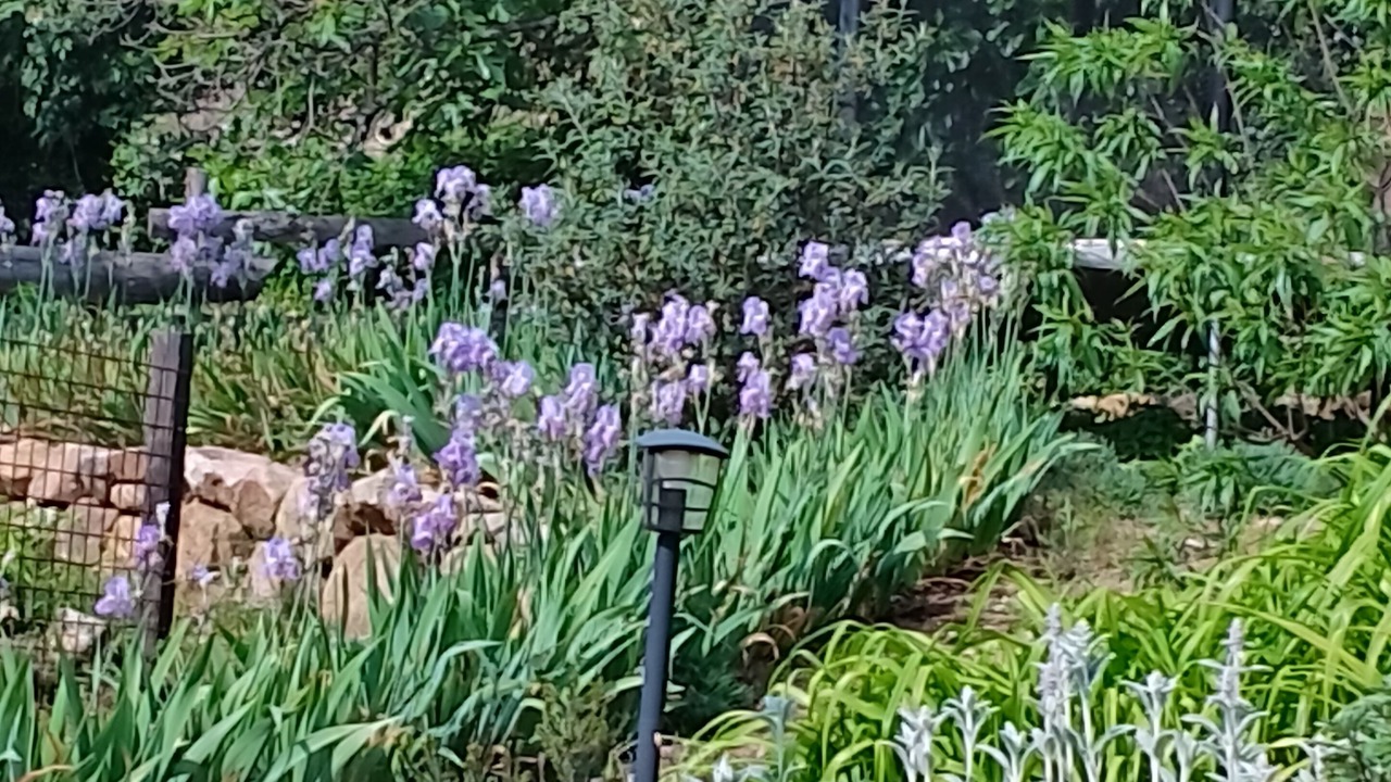 Photo of Outdoor in Rosieres