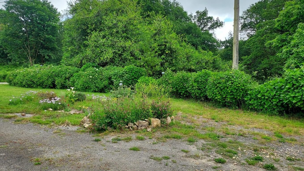 Photo of Outdoor in Ploerdut