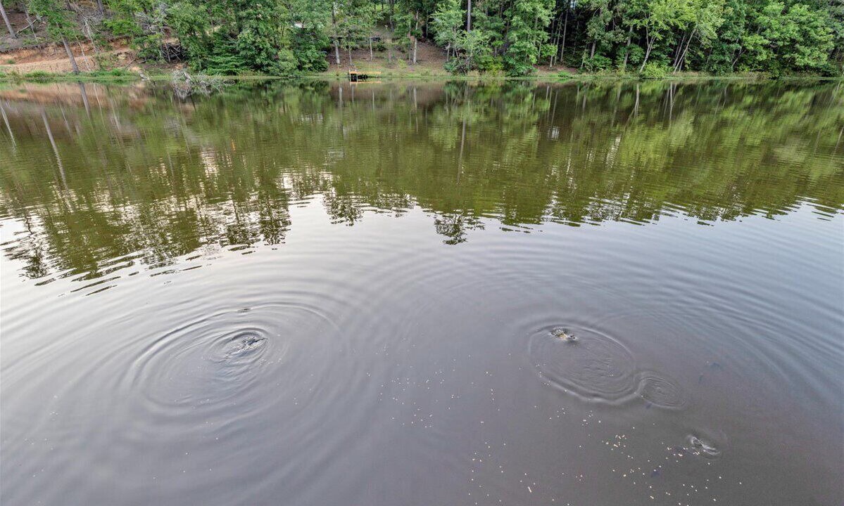 Photo of Outdoor in Green Pond