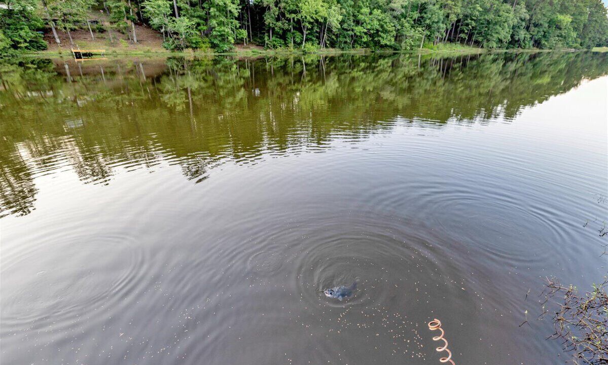 Photo of Outdoor in Green Pond