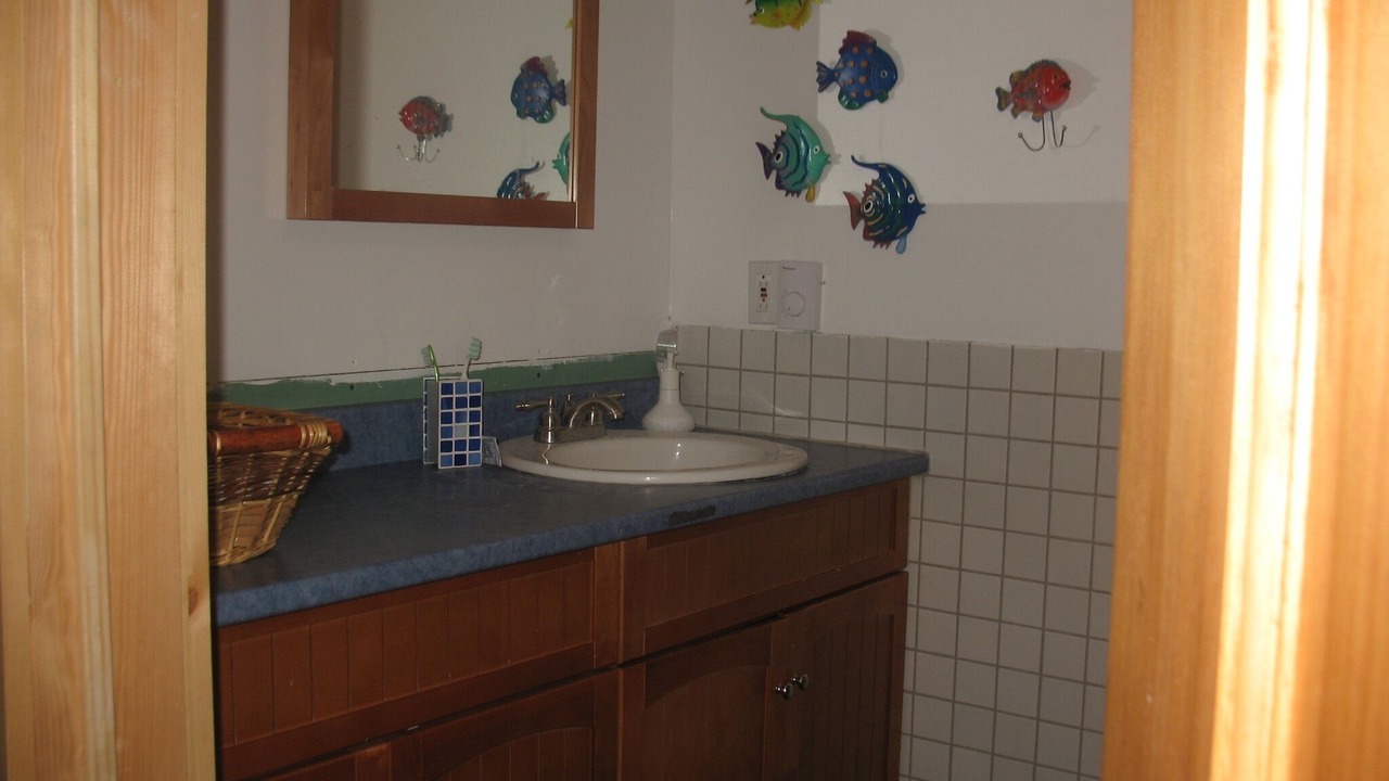 Photo of Bathroom in Ivry-sur-le-Lac