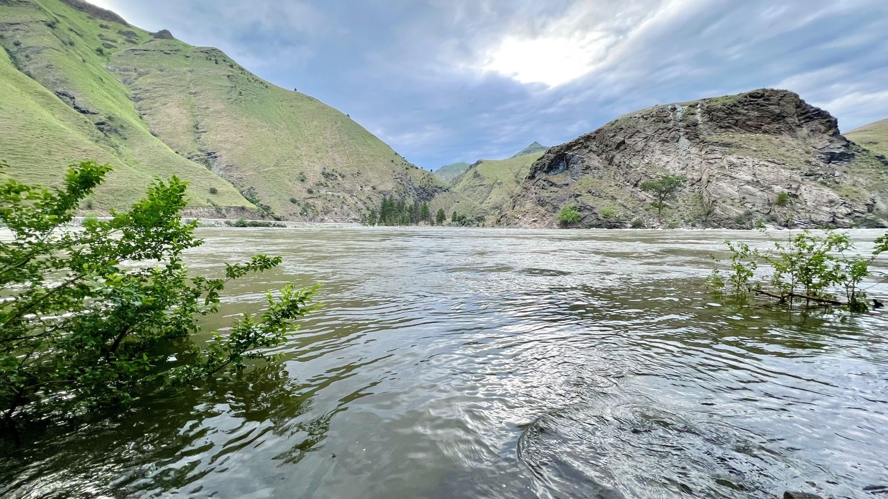 Photo of Others in Riggins