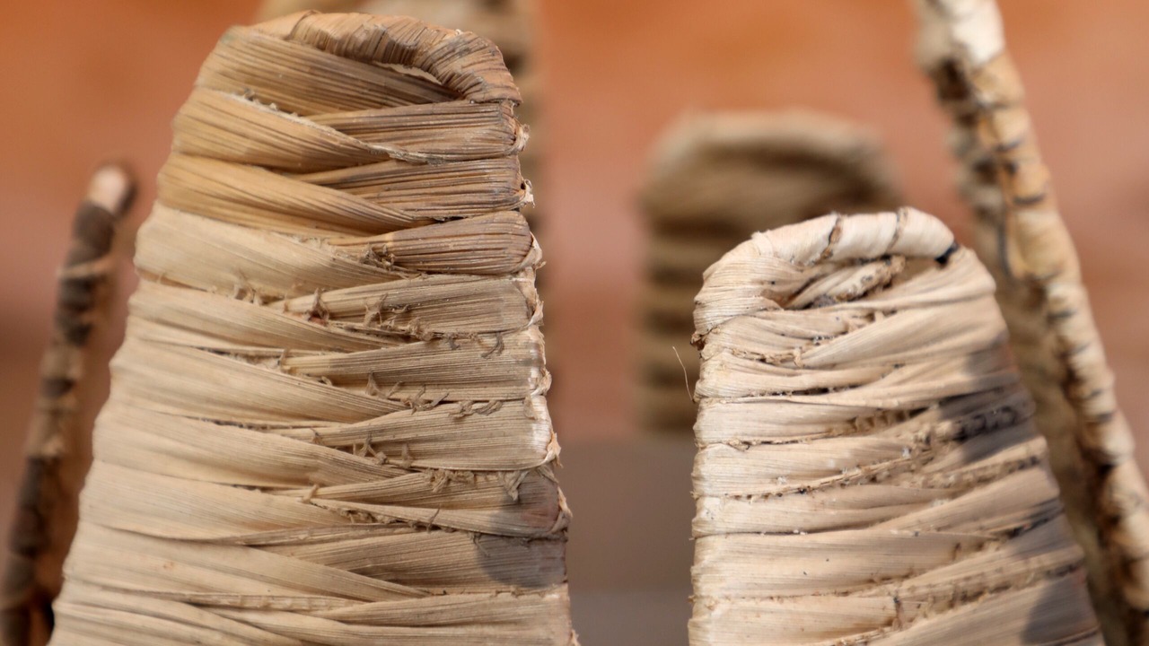 Photo of Others in Pirou