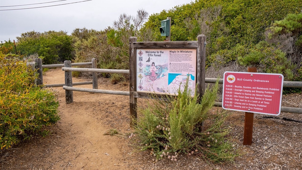 Photo of Others in Baywood Park