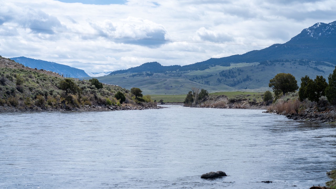 Photo of Others in Gardiner