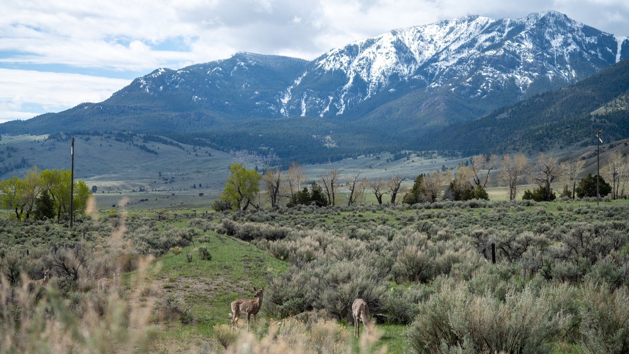Photo of Outdoor in Gardiner