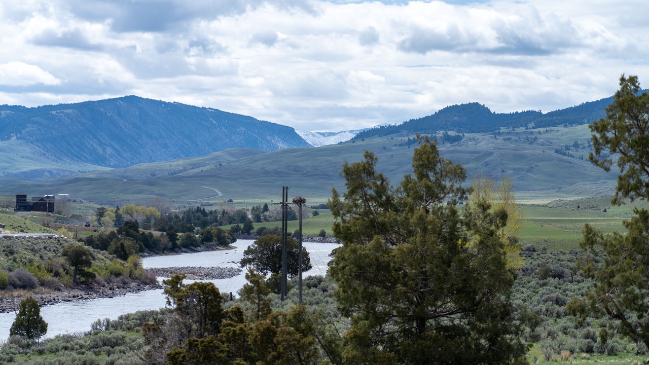 Photo of Others in Gardiner