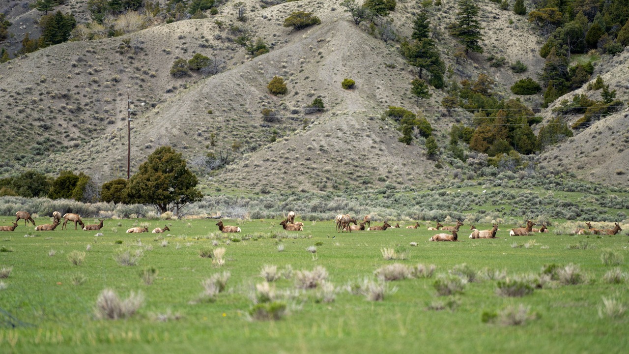 Photo of Outdoor in Gardiner