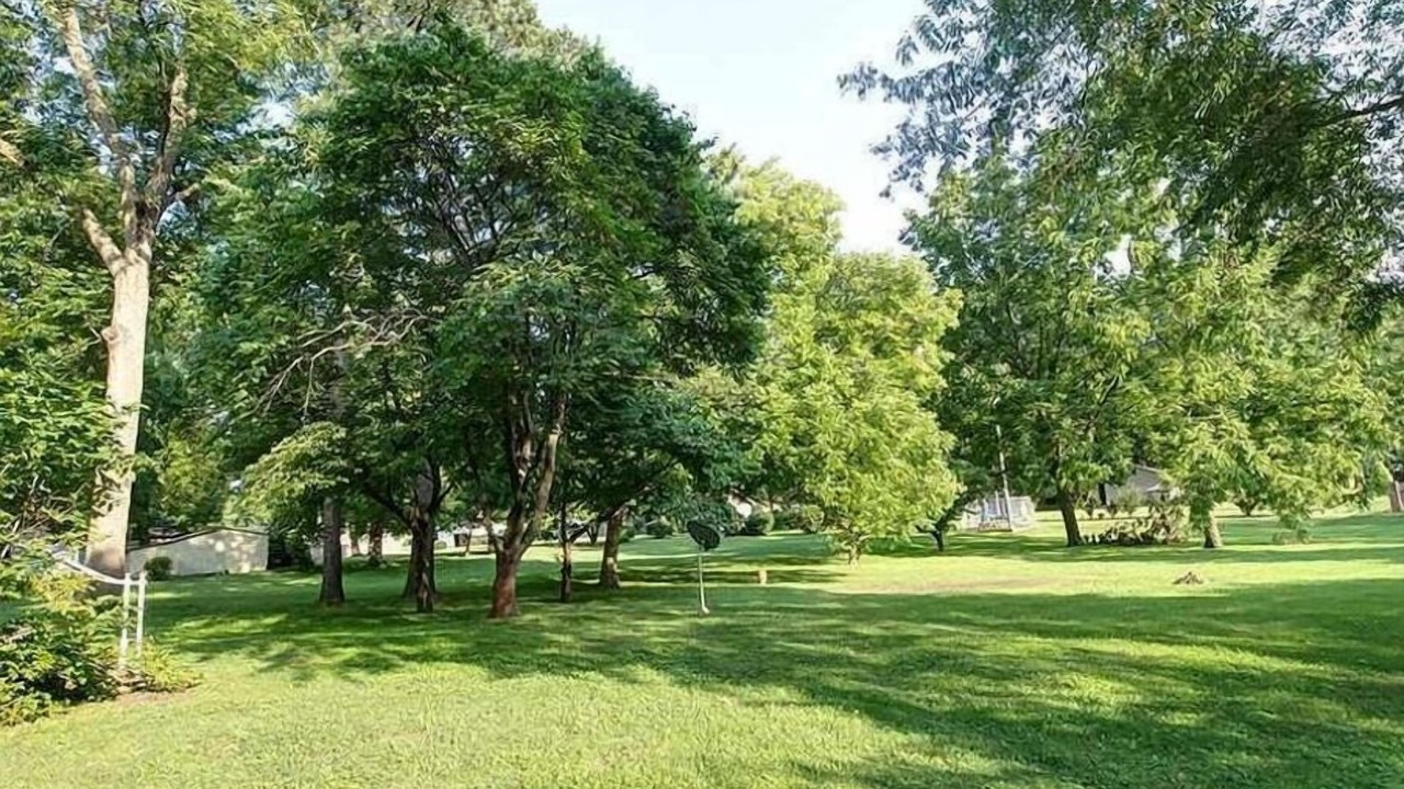 Photo of Outdoor in Martin