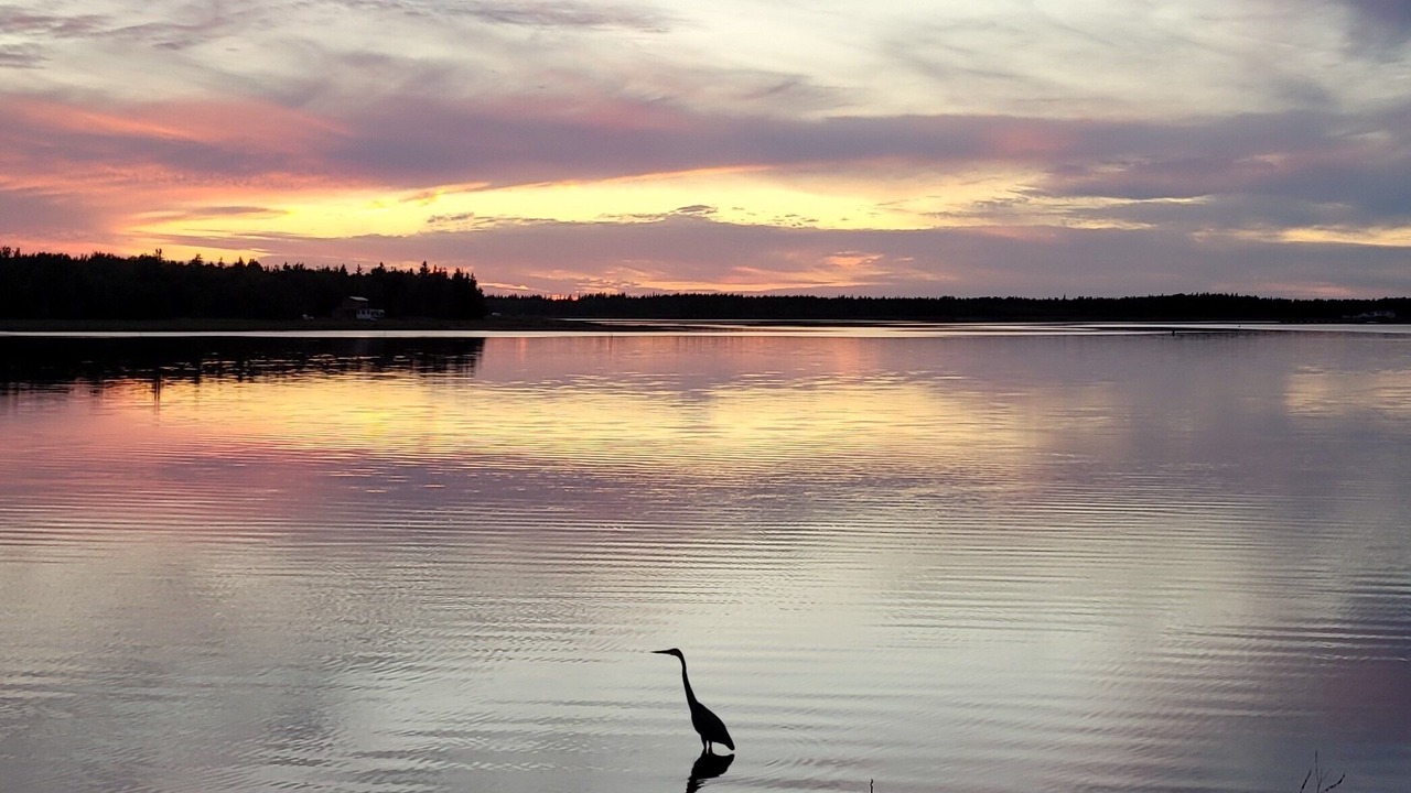 Photo of Others in Richibucto