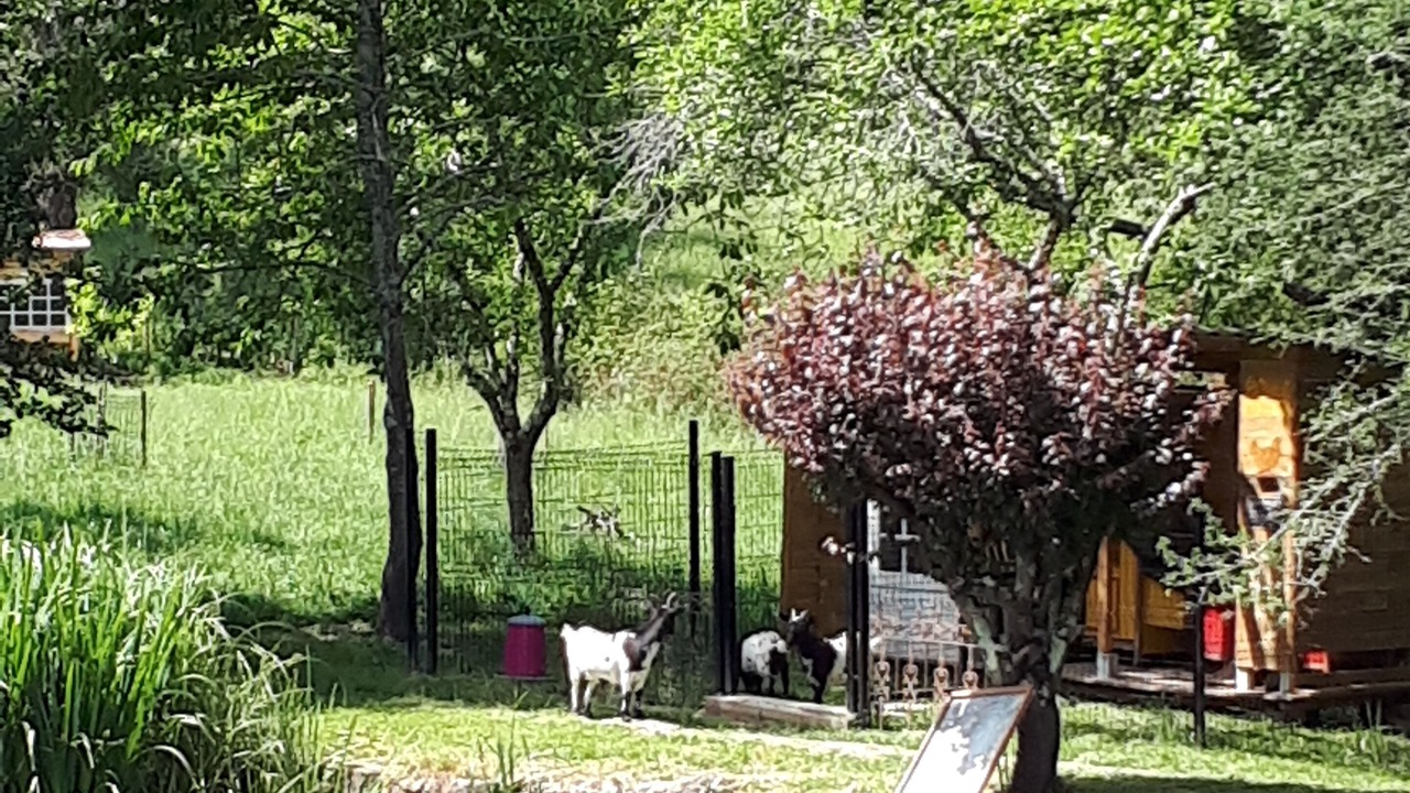 Photo of Outdoor in Barbaste