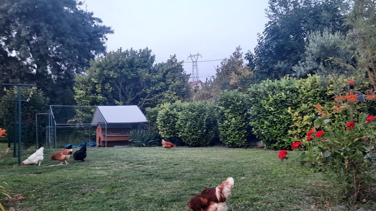Photo of Outdoor in Lussas