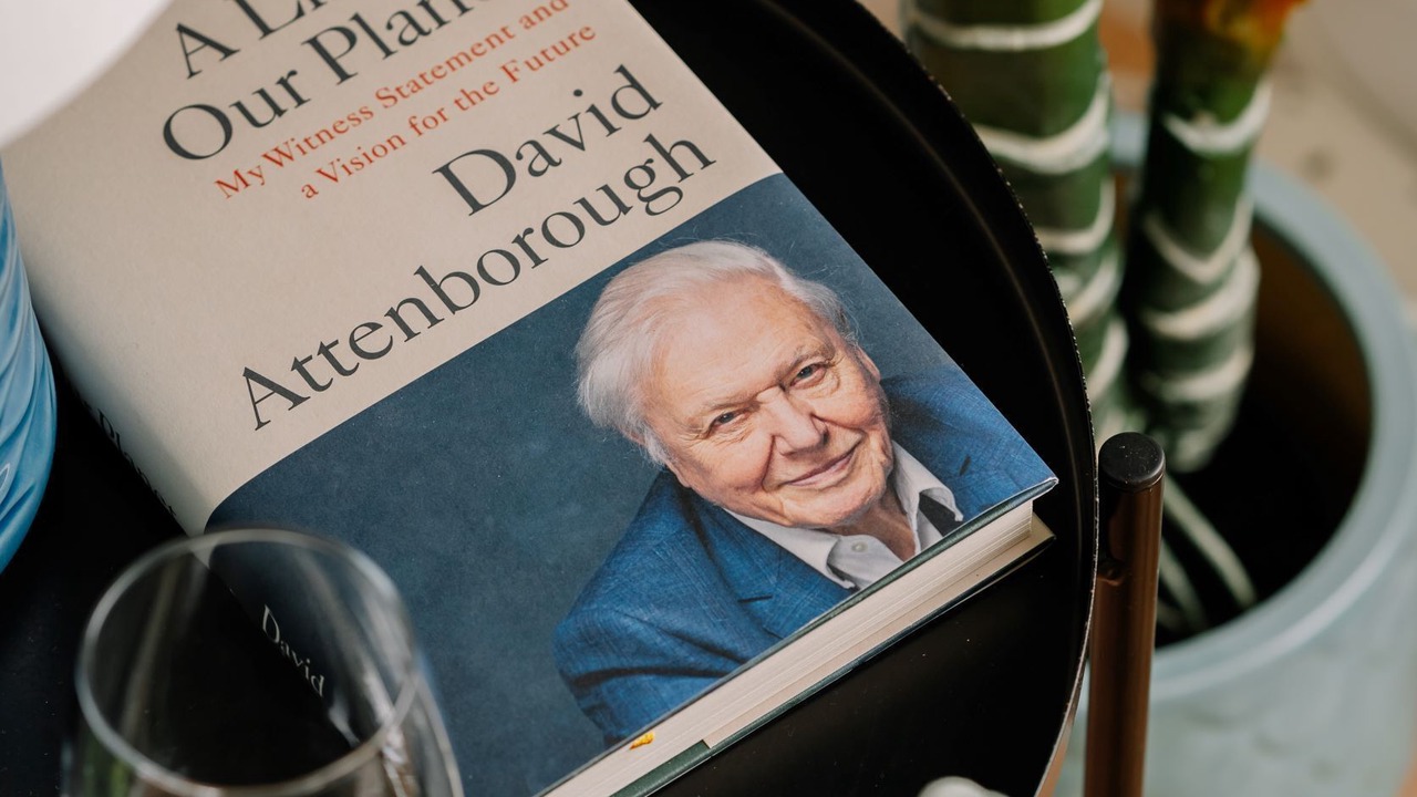 Photo of Others in Croyde Bay