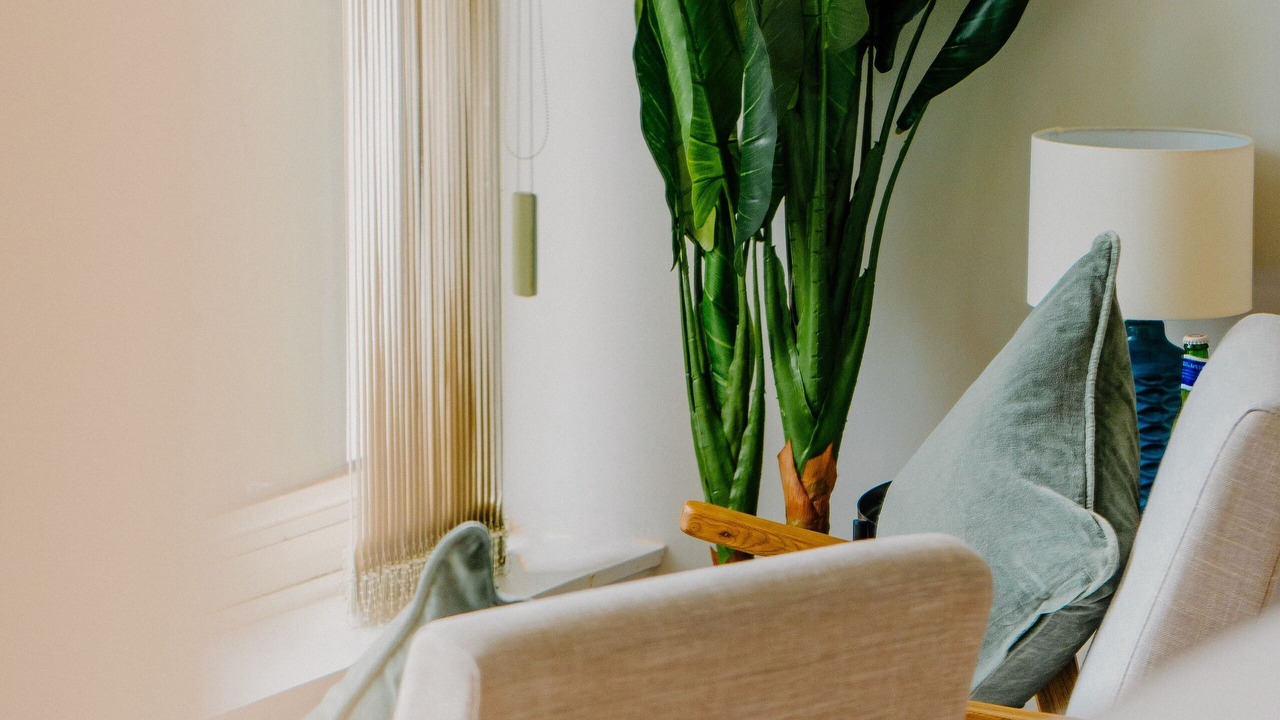 Photo of Others in Croyde Bay