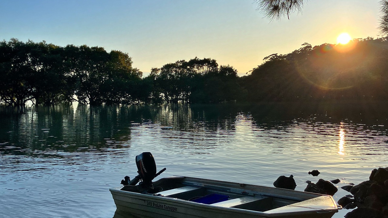 Photo of Others in Narrawallee