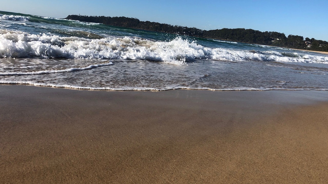 Photo of Others in Narrawallee