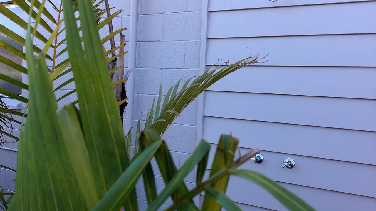 Photo of Outdoor in Narrawallee