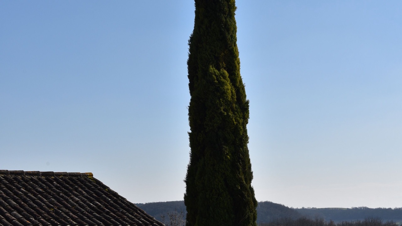 Photo of Outdoor in Sainte-Alauzie