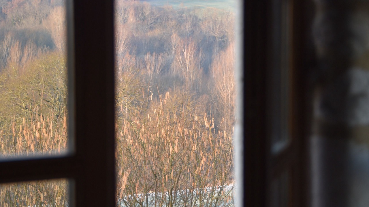 Photo of Others in Sainte-Alauzie