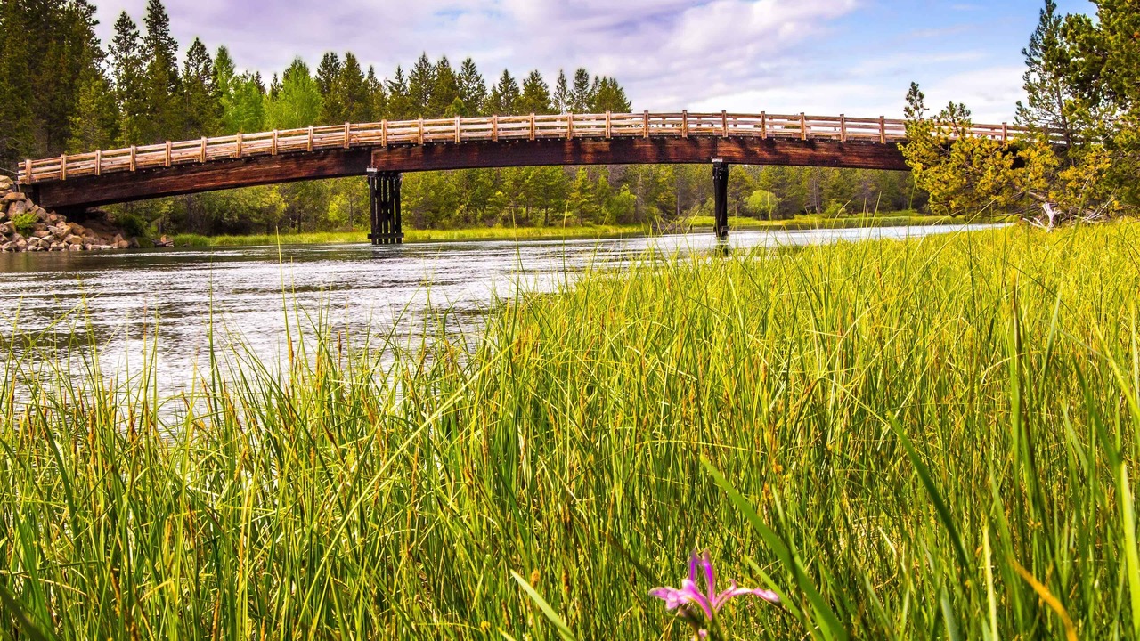 Photo of Others in Sunriver