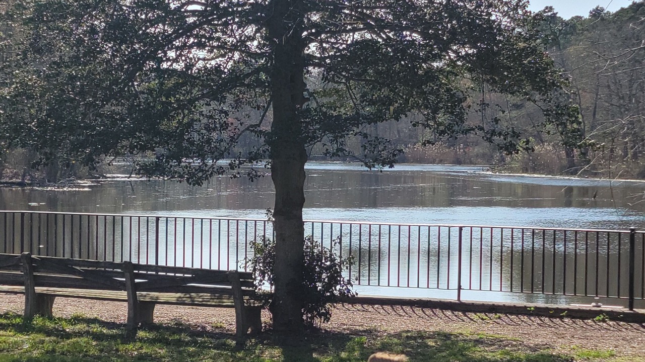 Photo of Outdoor in Norma