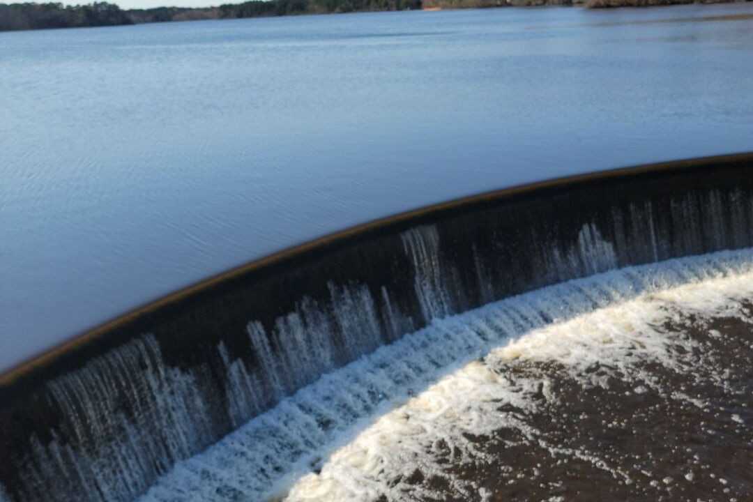 Photo of Others in Norma