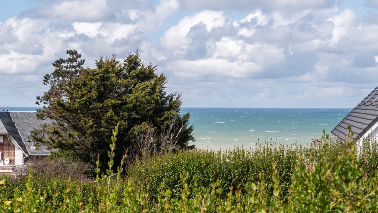 Photo of Others in Mesnil-Val-Plage