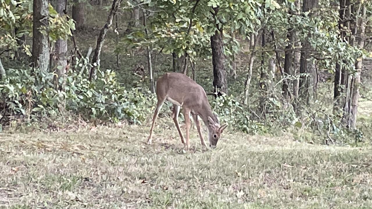 Photo of Outdoor in Texico