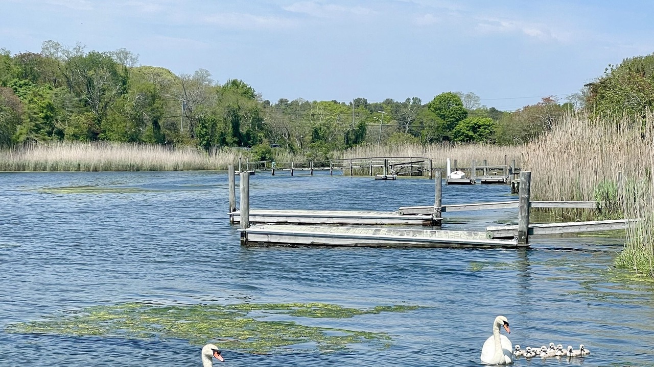 Photo of Outdoor in Westhampton