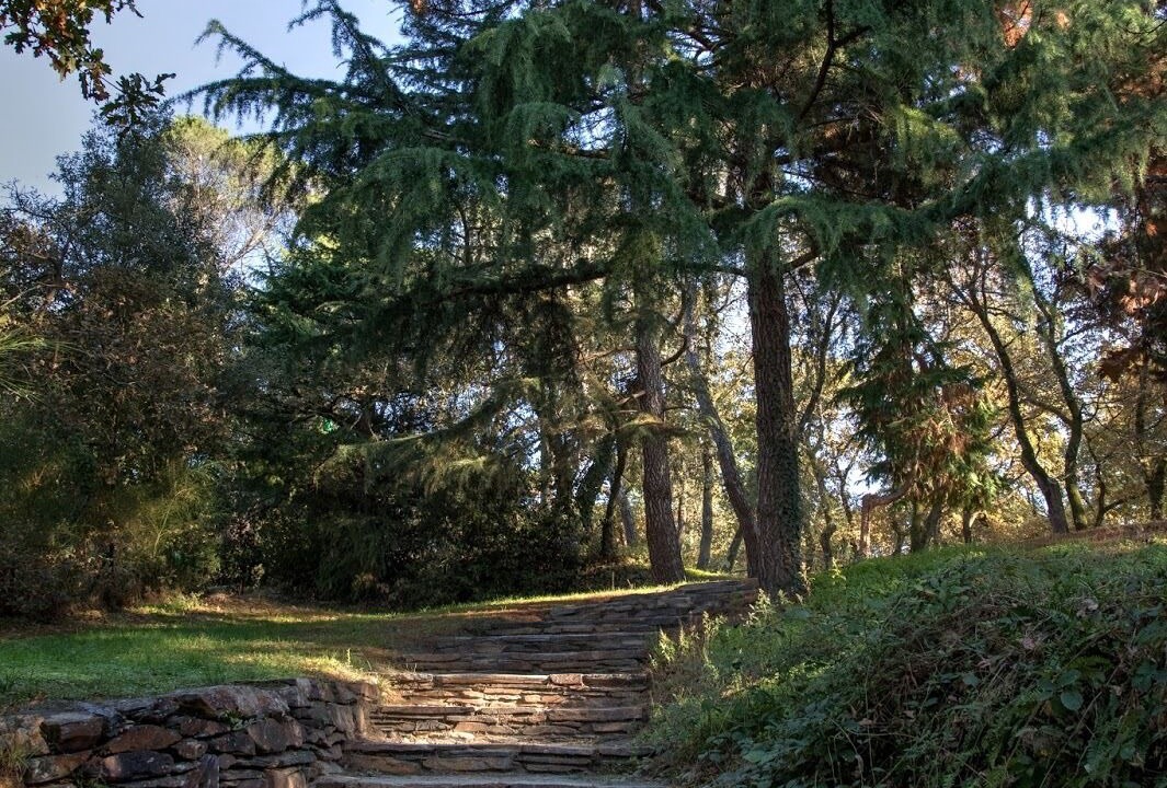 Photo of Outdoor in Avrille