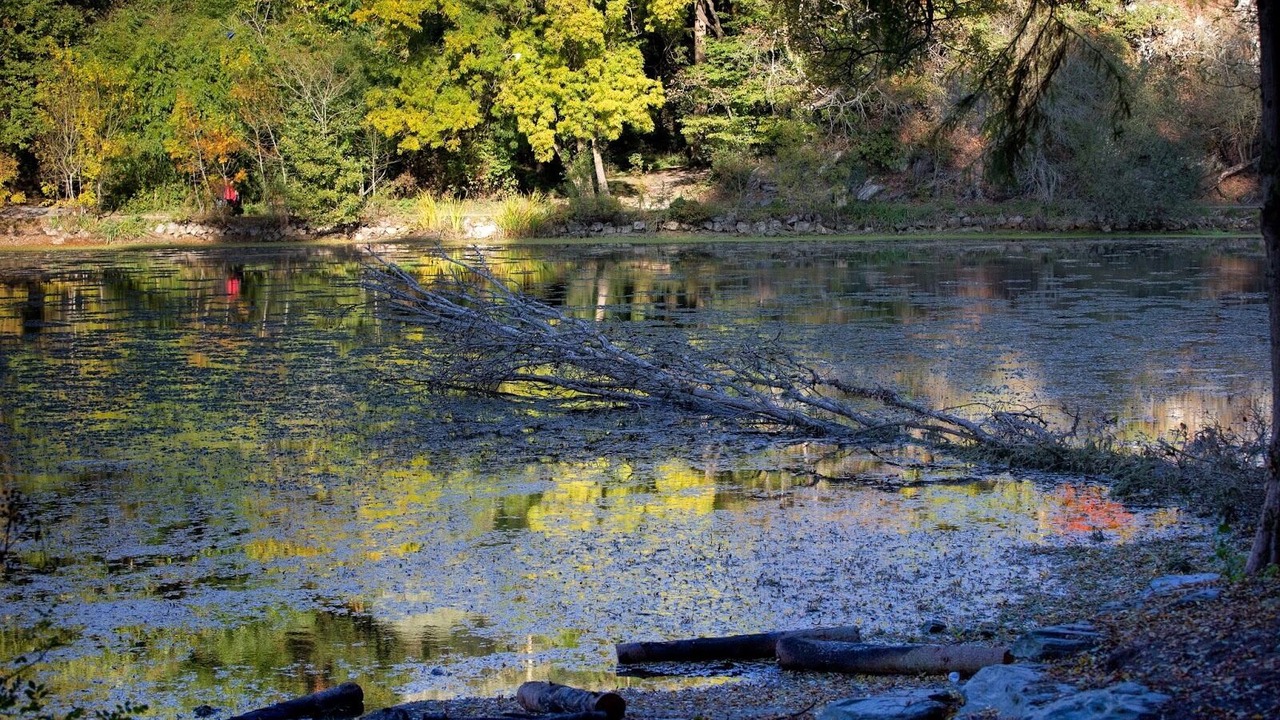 Photo of Outdoor in Avrille