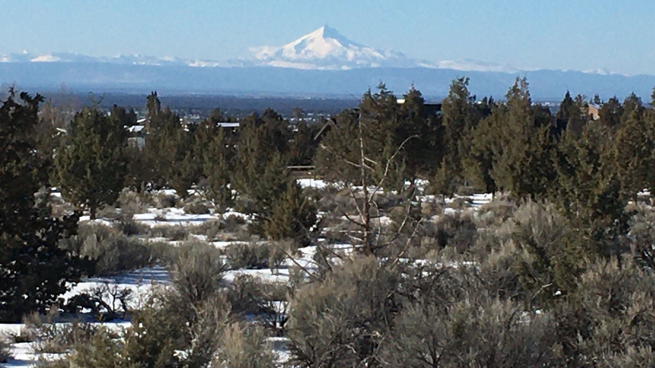 Photo of Others in Powell Butte