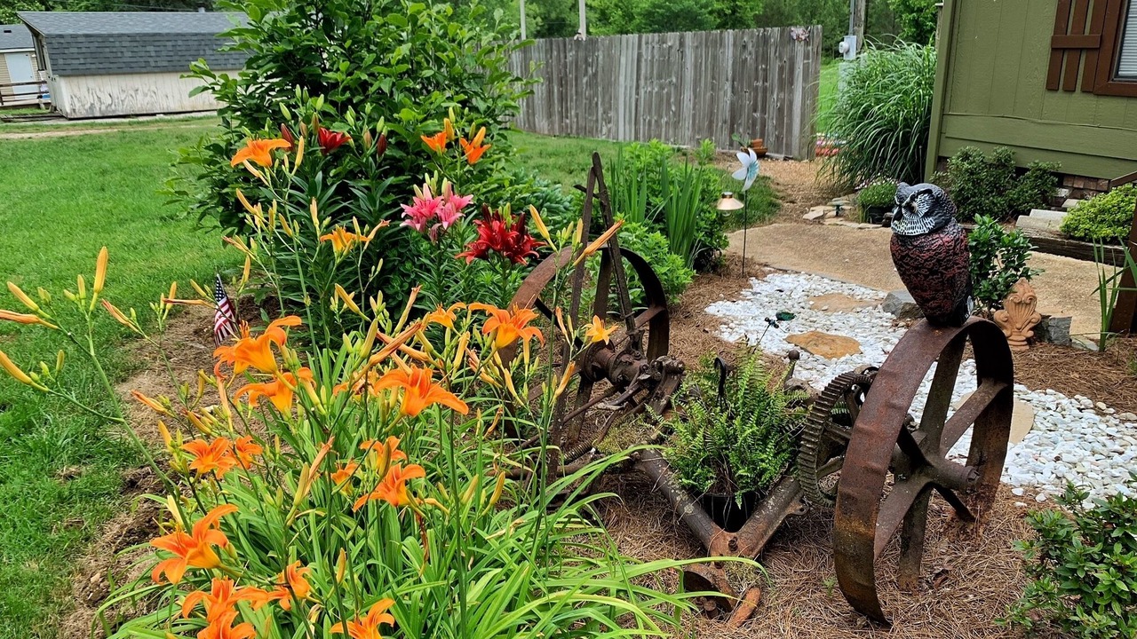Photo of Outdoor in Kedron