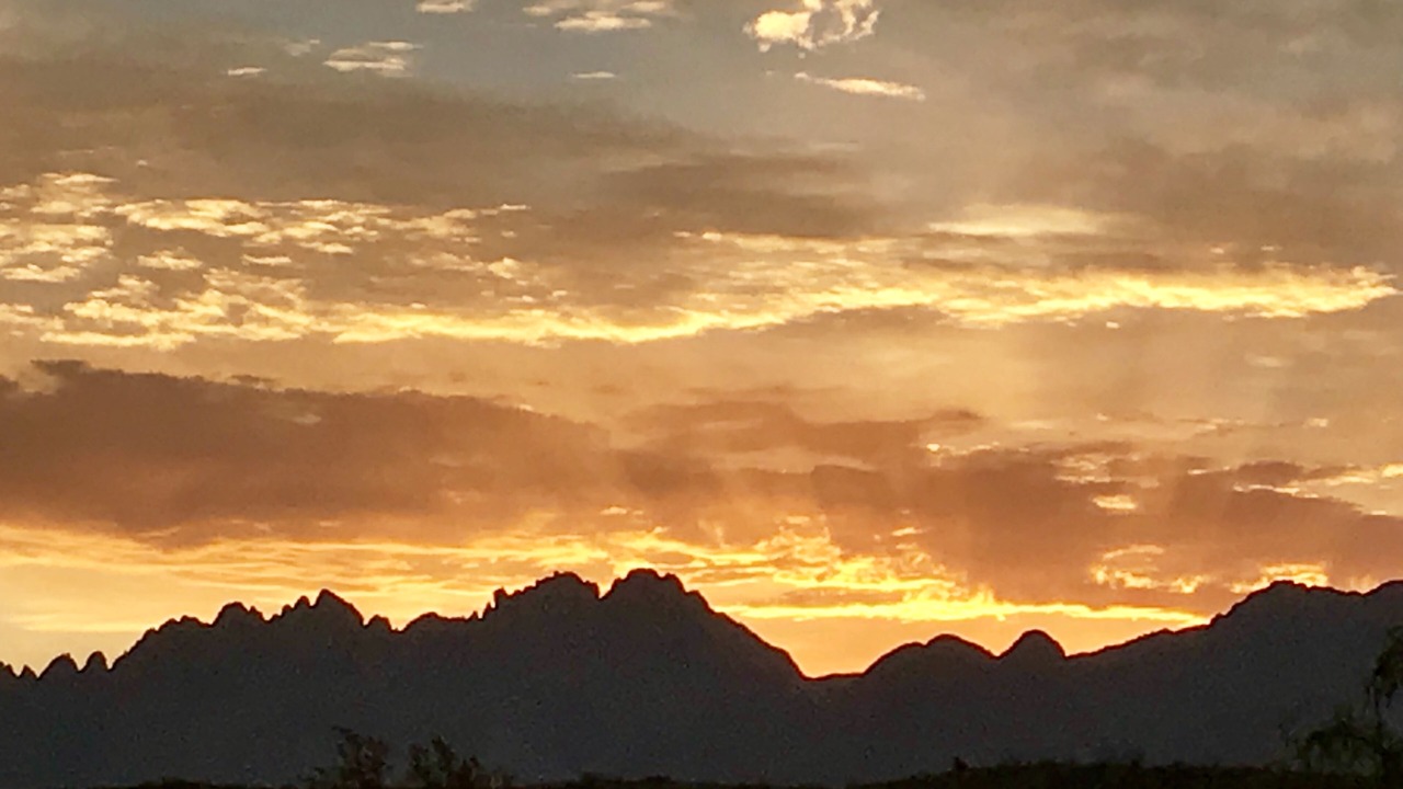 Photo of Others in Mesilla Park