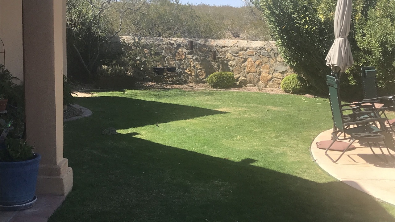 Photo of Outdoor in Mesilla Park