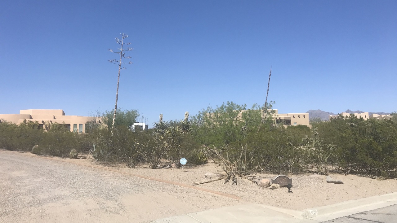 Photo of Others in Mesilla Park