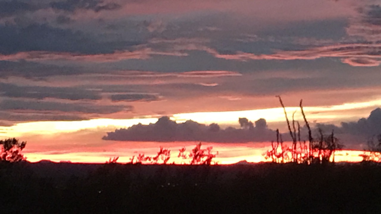 Photo of Outdoor in Mesilla Park