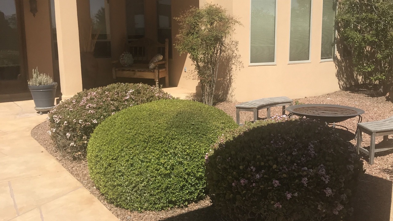 Photo of Patio Balcony in Mesilla Park