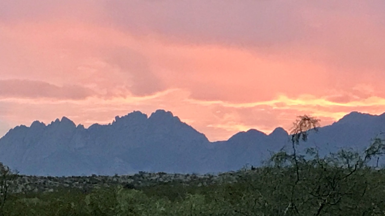 Photo of Others in Mesilla Park