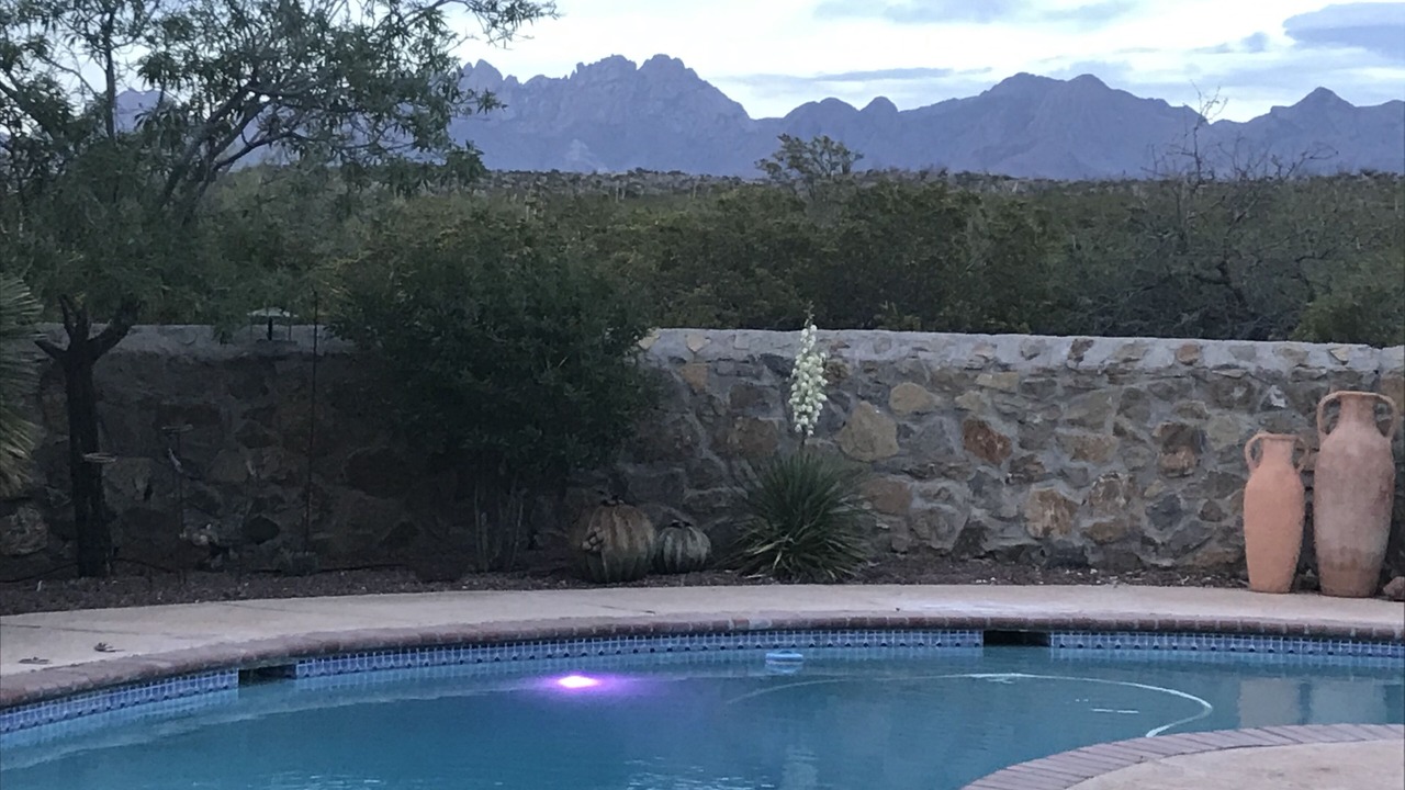 Photo of Outdoor in Mesilla Park