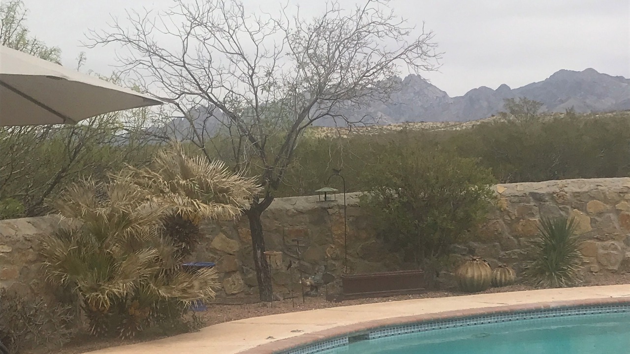 Photo of Outdoor in Mesilla Park